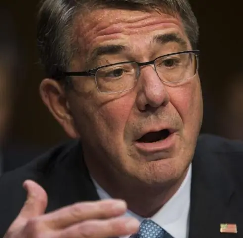 Легкая добыча: самые большие медведи в мире используют маленькие ручьи, чтобы откормиться лососем