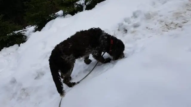 Ученые нашли железный «снег» в ядре Земли