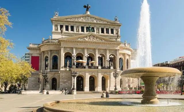 Куда деваются детеныши морских черепах? Новый метод исследования может дать ответы