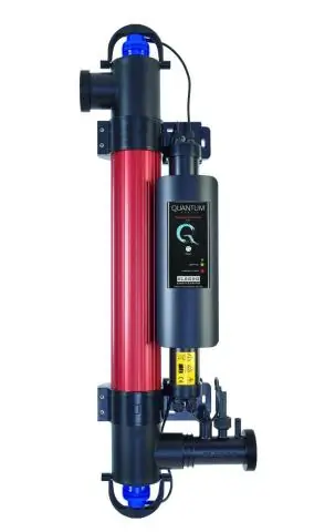 Как бактерии контролируют свой клеточный цикл