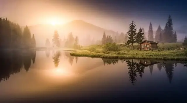 Звездные глаза на рифе: меняющие цвет хрупкие звезды могут видеть