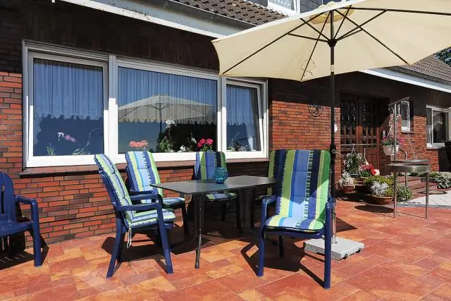 Животный мир вокруг Фукусимы процветает: исследователи задокументировали более 20 видов в зоне ядерной аварии