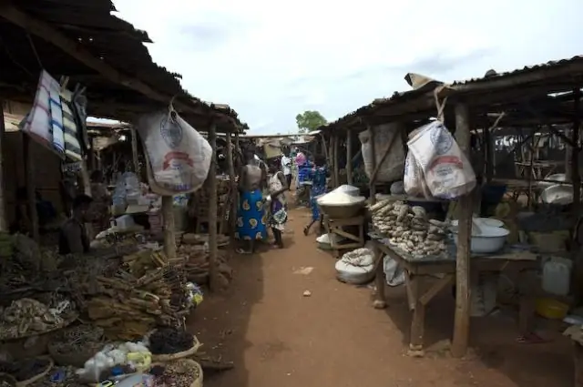 У птиц и летучих мышей странный кишечный микробиом - возможно, потому, что они умеют летать