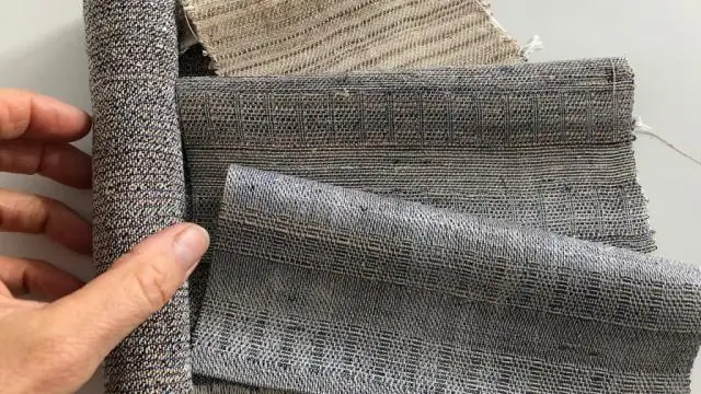 Исследовательская группа прослеживает эволюцию одомашненных помидоров: биологи возглавили эволюционную детективную работу по изучению происхождения фруктов