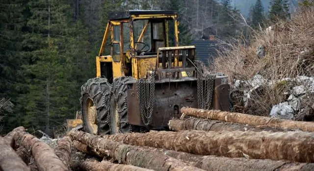 Если бы деревья могли говорить: использование исторических бревенчатых структур для картирования миграции европейцев, коренных американцев
