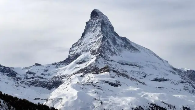 Переключатель рыбы: личность загадочного захватчика в водах Флориды установлена через 20 лет