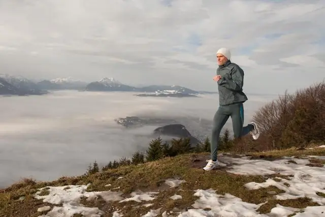 Развенчание предыдущих исследований, в которых говорилось, что тропические рыбы ведут себя странно