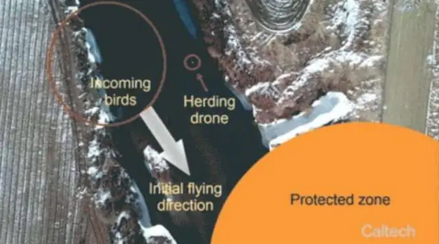 Ученые улучшают прогнозы урожайности на основе данных о рассаде