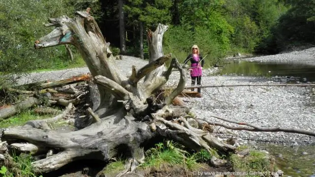 Кислотная среда может увеличить силу вредоносных патогенов