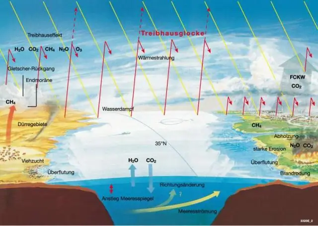 Глобальное потепление стало причиной масштабных лесных пожаров