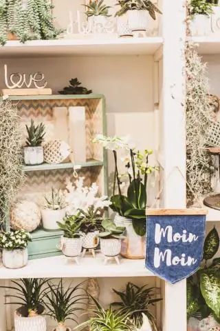 Цвета радуги колибри получаются из блинообразных структур в их перьях