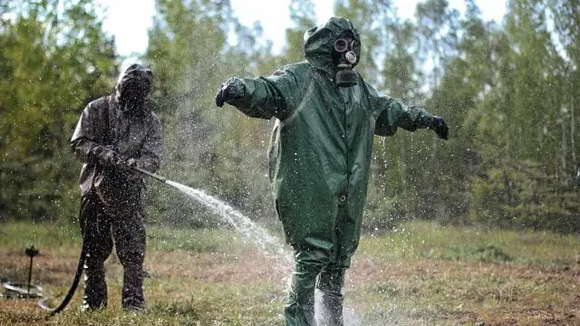 Изменение климата вряд ли заставит выращивать сахарные клены на севере