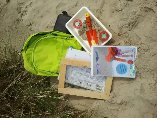 Птицы: первым пришел, первым размножился: раннее прибытие в район размножения имеет решающее значение для успешного размножения, в том числе и у немигрирующих птиц