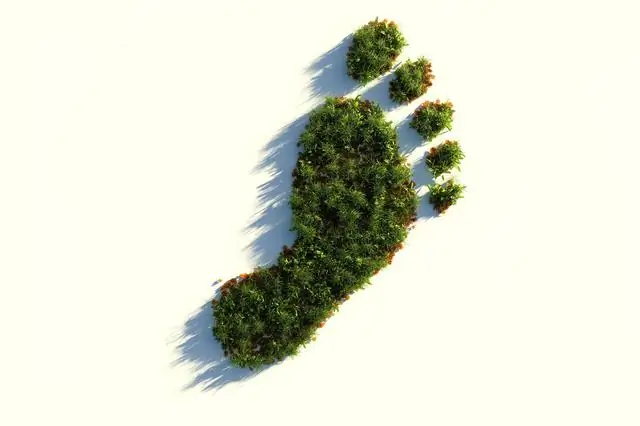 Человек раздавливает дикую природу мира: новое исследование оценило 20 тысяч наземных видов и показало, что 85 процентов в настоящее время подвергаются интенсивному человеческому давлению