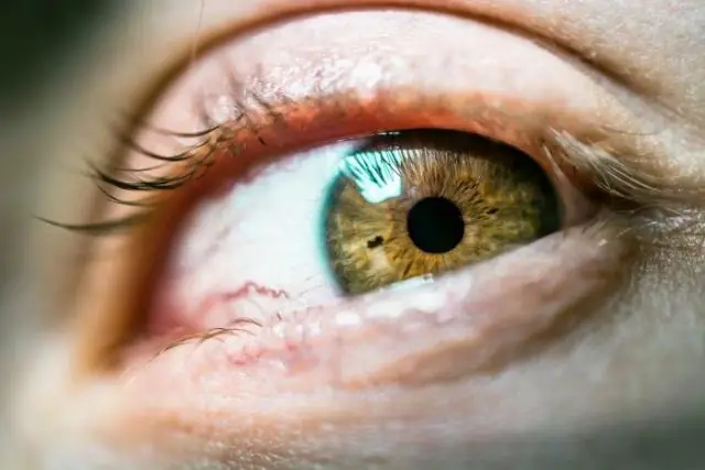 Азотфиксирующие гены могут помочь выращивать больше еды, используя меньше ресурсов