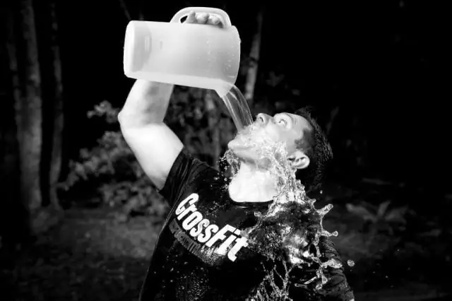 Вновь созданный эмбрион питает надежду на выживание северного белого носорога