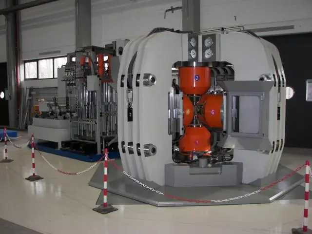 Новый пернатый динозавр показывает, что динозавры росли не так, как птицы