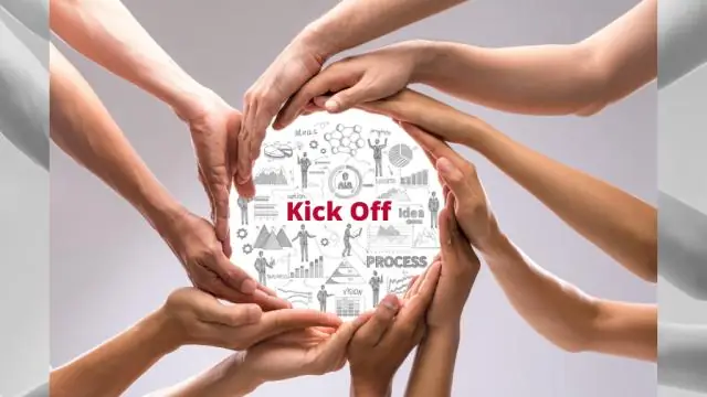 Как решения разворачиваются в мозгу рыбок данио