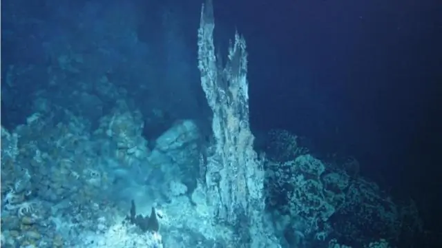 Ученые выяснили, как взрыв новых генов объясняет происхождение наземных растений