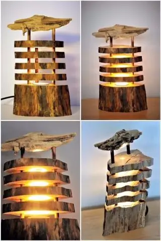 Загляните в древние стратегии охоты на стрекоз и стрекоз