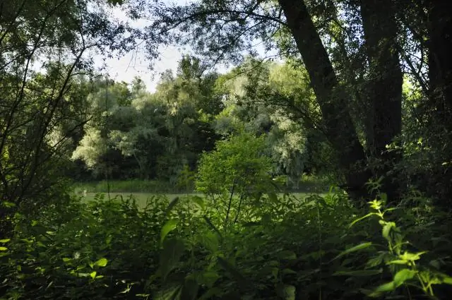 Мобильные охраняемые территории необходимы для защиты биоразнообразия в открытом море