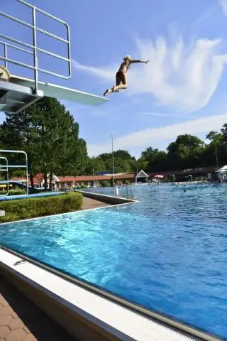 Санитарная помощь социальных муравьев влияет на исход болезни: социальные взаимодействия муравьев влияют на конкуренцию патогенов