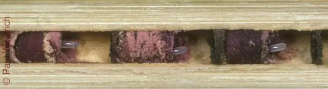 Программируемые гнезда для ячеек