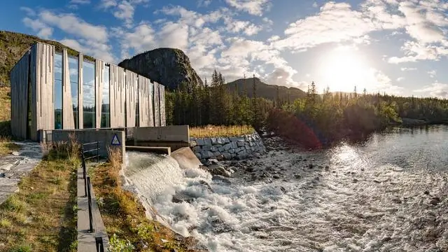 Для достижения глобальных целей восстановления лесов необходимы трансформационные инновации