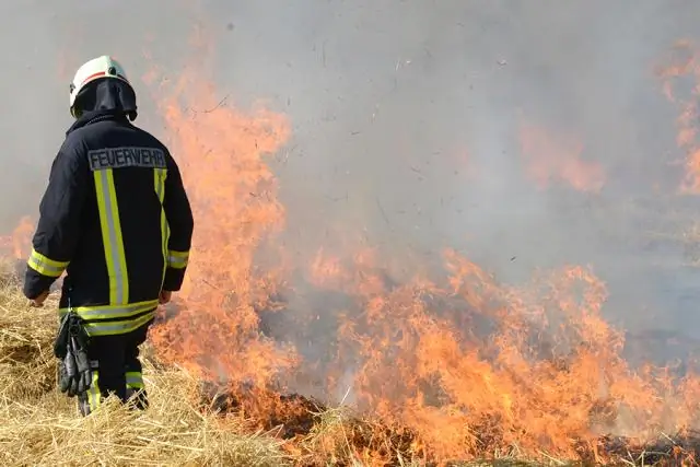Разведение контролируемых пожаров, чтобы избежать лесных пожаров: в исследовании излагаются подходы, позволяющие увеличить количество предписанных ожогов