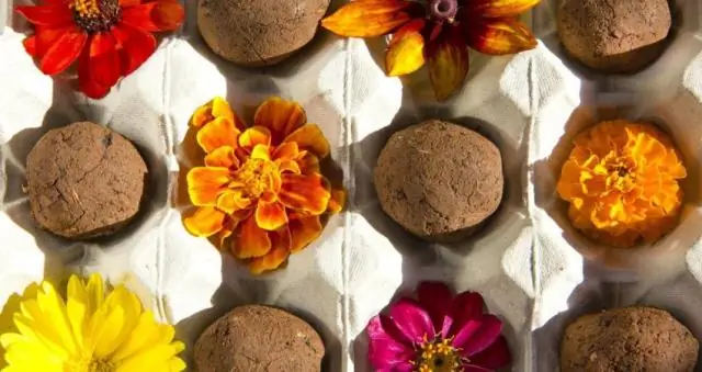 Инсектициды становятся все более токсичными для медоносных пчел