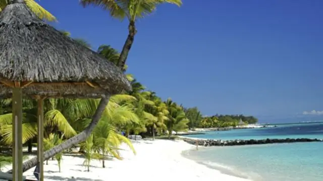 Хроника гигантских слонов с прямыми бивнями