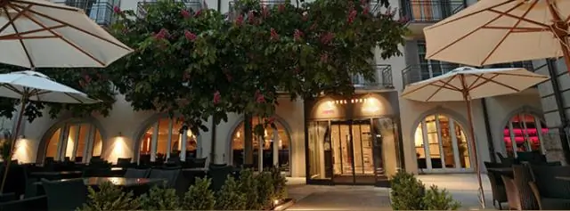 Тонко настроенная нервная система позволила птицам и млекопитающим двигаться более плавно