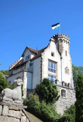 Фламинго крепко дружат