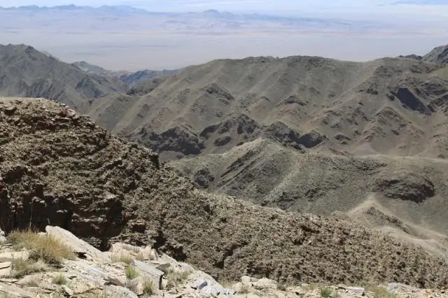 Распущенность в палеозое: исследователи раскрывают ключи к разгадке эволюции позвоночных