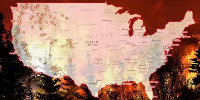 Поскольку на Западе вспыхивают лесные пожары, исследования подчеркивают риск экологических изменений