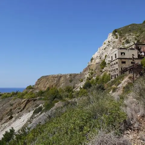 Пересекающиеся вирусы дают своеобразные гибридные варианты