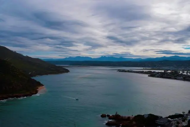 Наблюдение за птицами издалека: удивительная новая система камер с поддержкой искусственного интеллекта для отслеживания конкретных действий