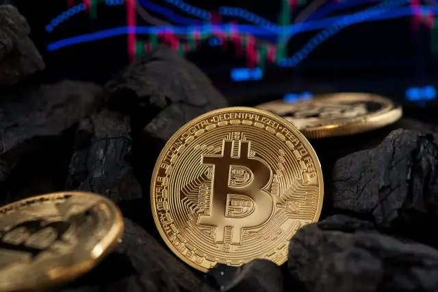 Новые виды ископаемых тюленей переписывают историю
