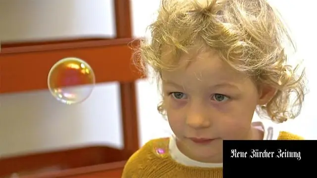 Обезьяны воспринимают визуальный мир так же, как и люди