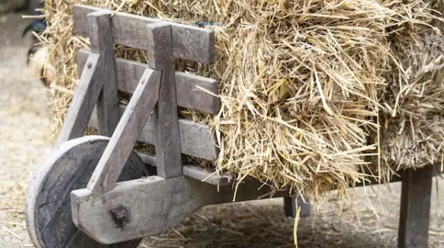 Разработка здорового питания с помощью компьютерного анализа