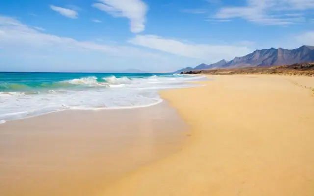 Синие киты, находящиеся под угрозой исчезновения, зарегистрированы у юго-западного побережья Индии