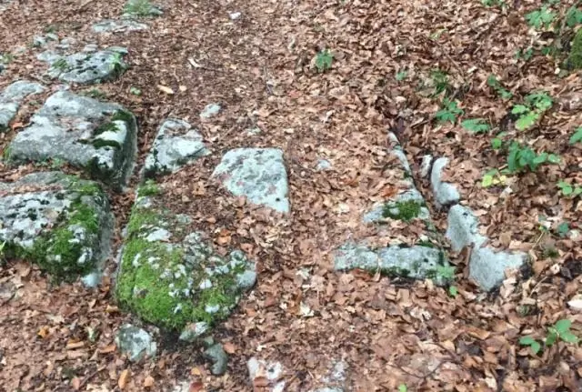Следы древней дороги в озере: История ландшафта, политика, климат и болезни сохранились в отложениях