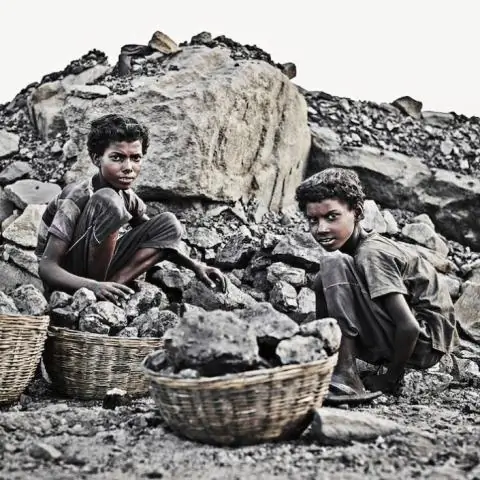 Огромные лесные пожары не заставляют живые деревья выделять много углерода, показывают исследования