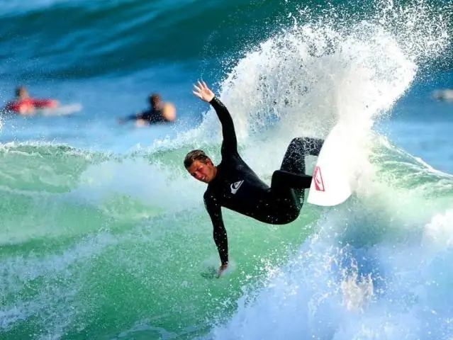 Серфинг в защиту прибрежных экосистем