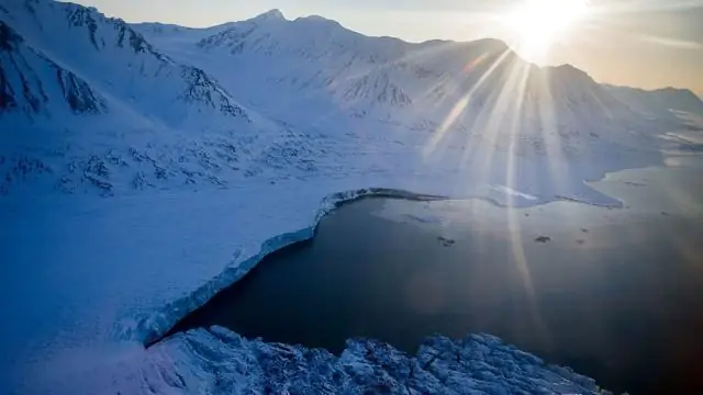 Глобальное изменение климата зафиксировано в морских окаменелостях Антарктики