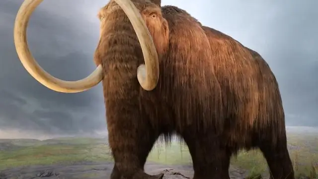 Генетическое исследование показывает, что млекопитающие жили до вымирания динозавров