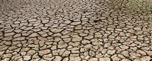 Засухи могут быть более серьезными, чем пыльные чаши, сообщает NOAA