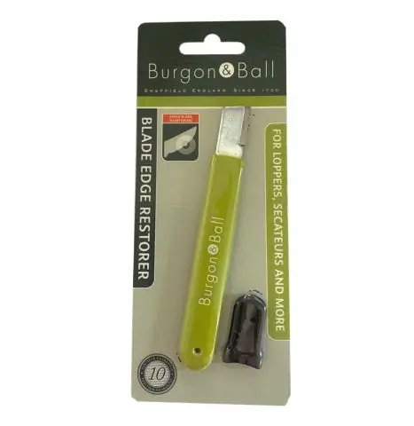 Городской реставратор видит в мусорных деревьях и жуках признаки надежды