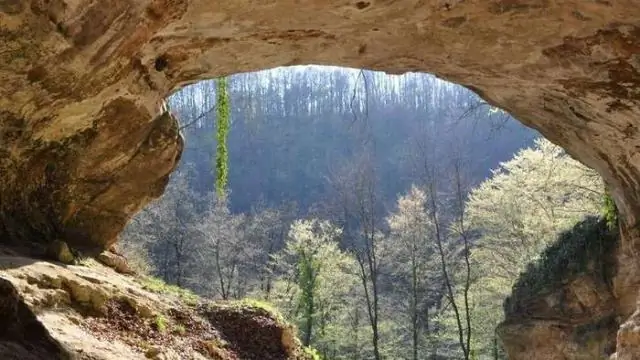 Ученые используют окаменевшую яичную скорлупу эму, чтобы обнаружить изменения в растительности и представить дополнительные доказательства воздействия человека на ландшафт Австралии