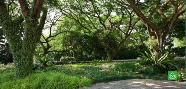 Алмазы показывают, как континенты стабилизируются, что является ключом к обитаемости Земли: долговечность земных континентов перед лицом разрушительной тектонической активности является важным геологи